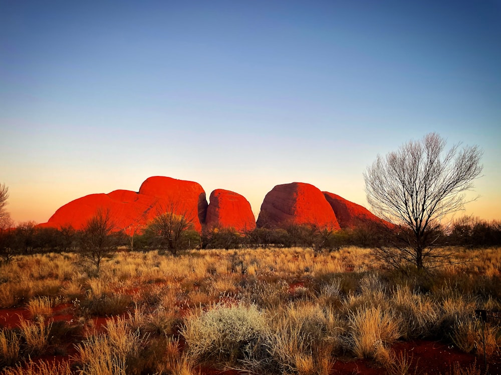 a large rock formation in the middle of a field