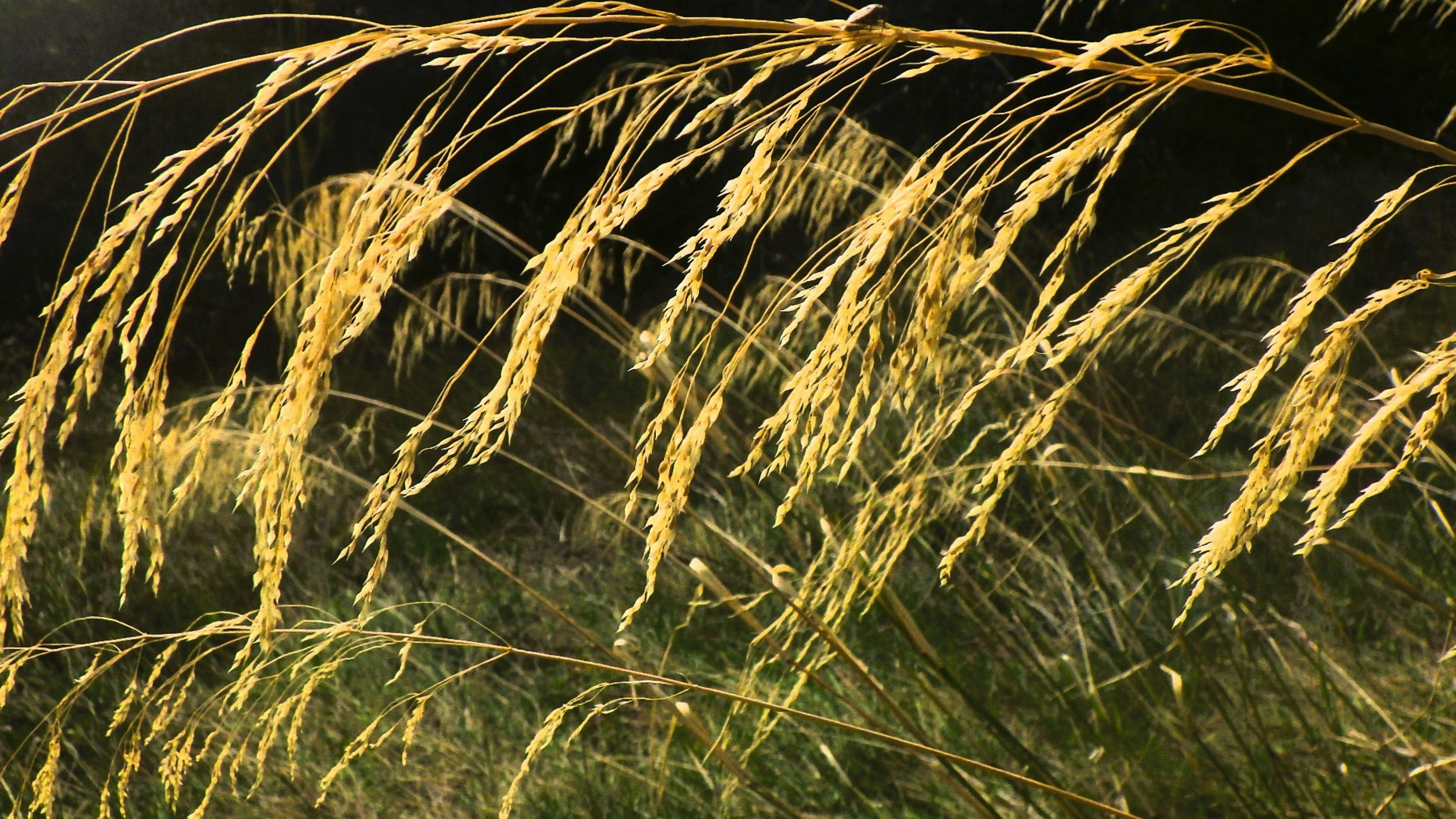 Photo by dominapetric