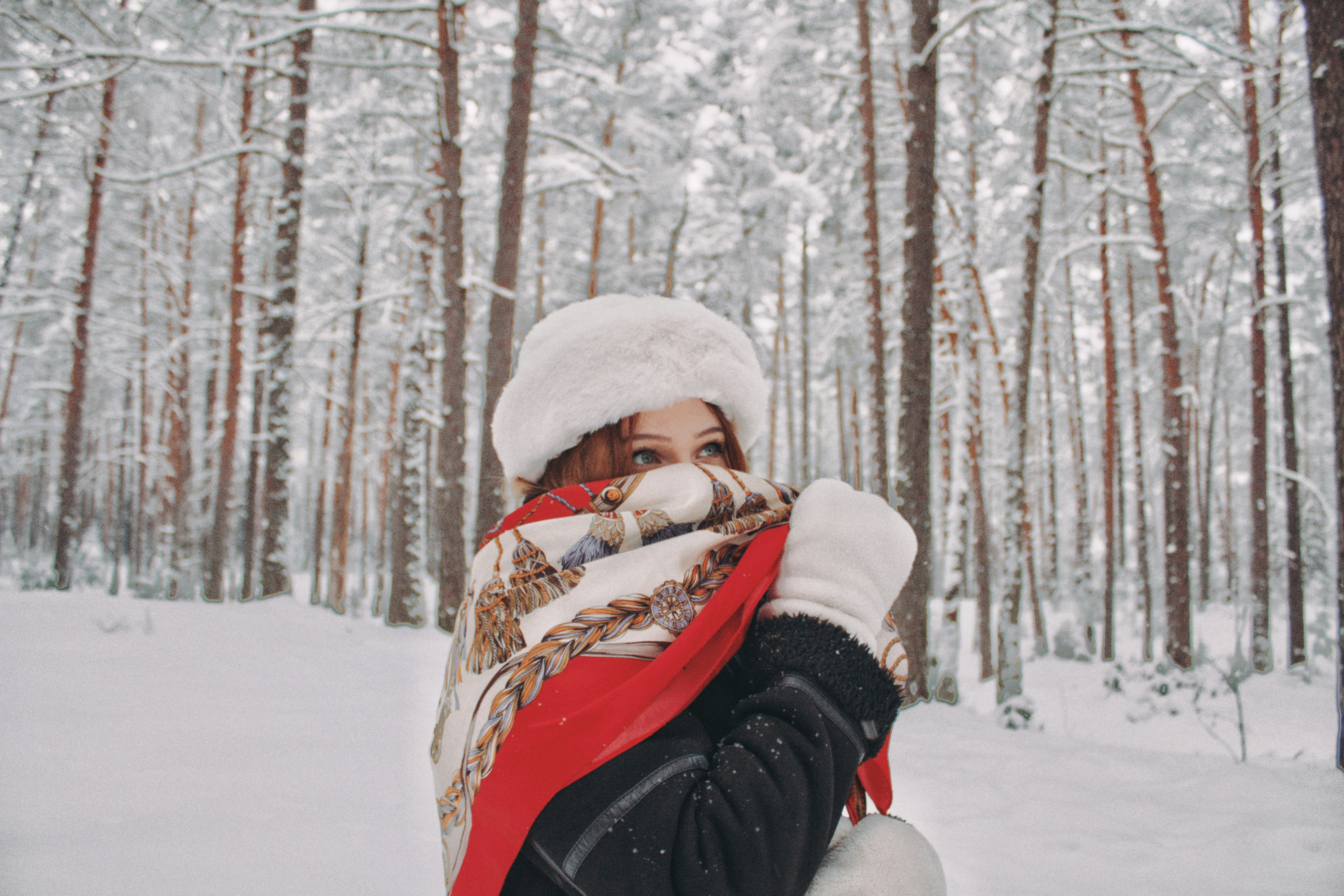 Photo by maximyuryshev