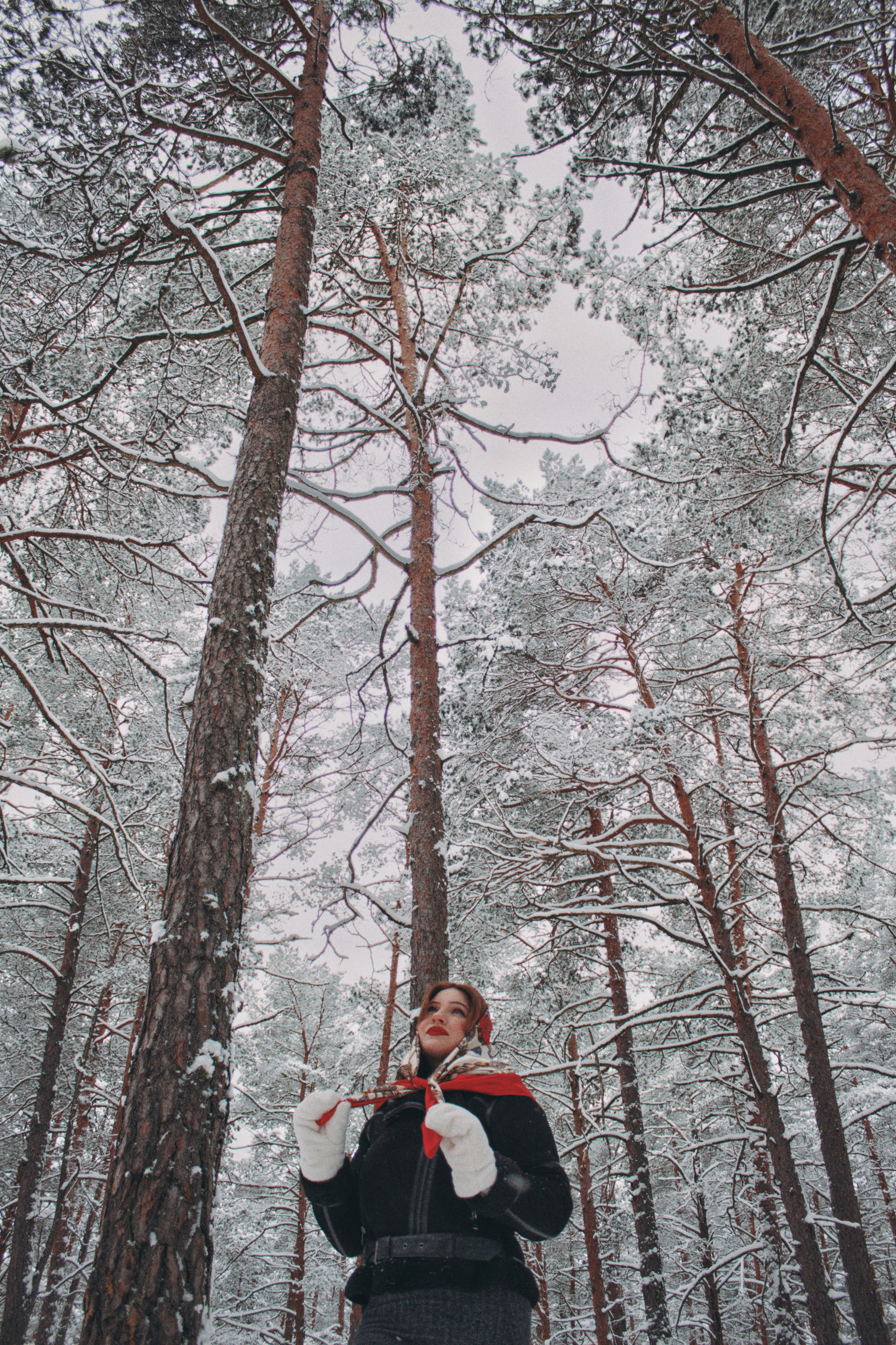 Photo by maximyuryshev