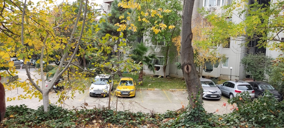A residential area with several parked cars in a lot surrounded by trees with yellow and green leaves. The scene is framed by trees in the foreground, and a multi-story building is partially visible in the background. The ground is covered with fallen leaves.