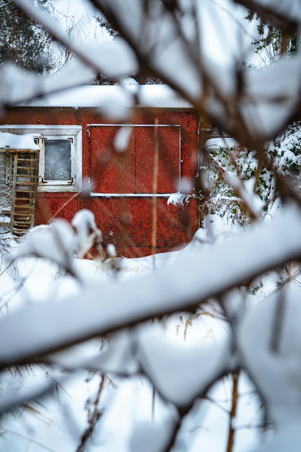 a red building sitting in the middle of a forest covered in snow