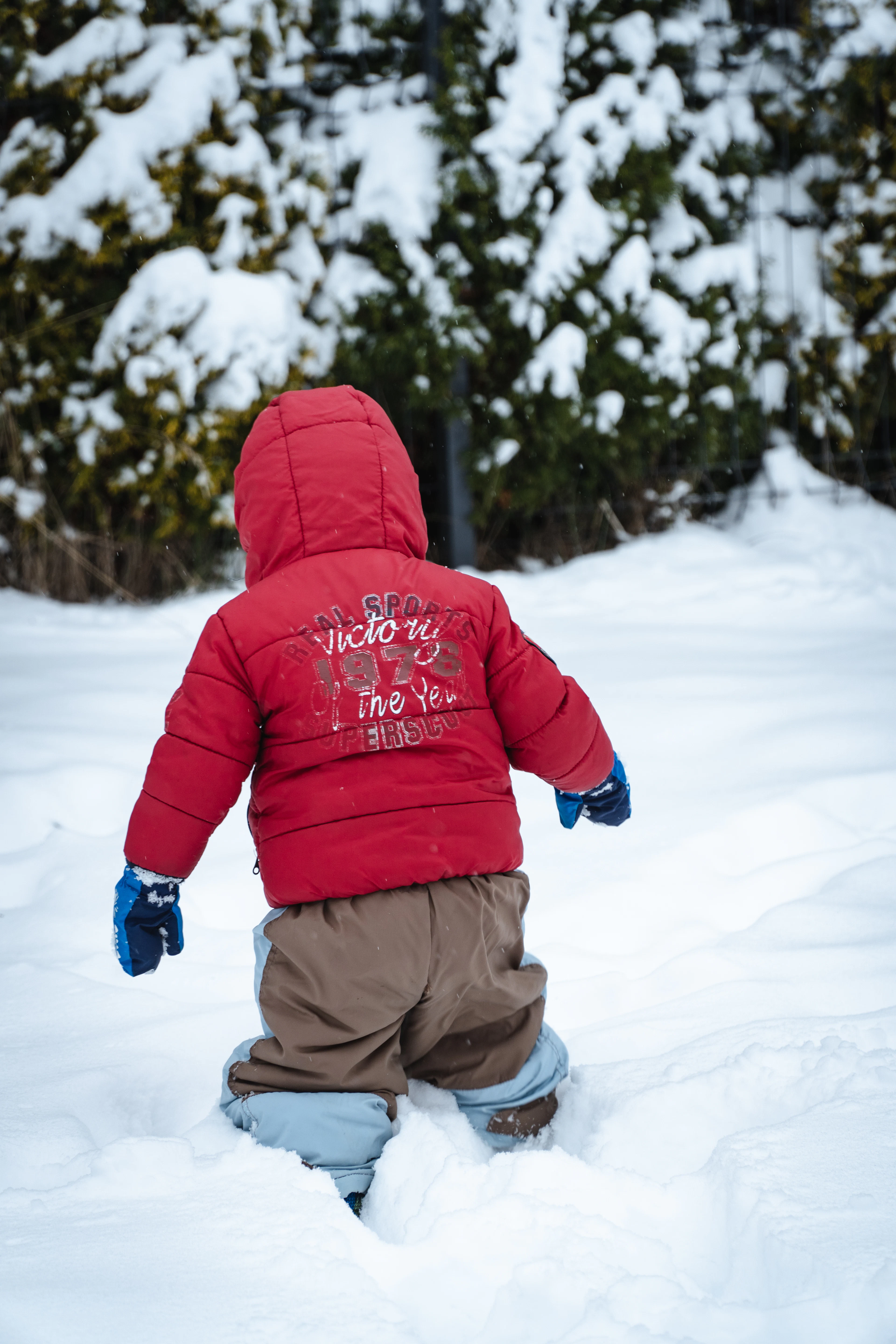 A child in a red puffer jacket playing in the snow