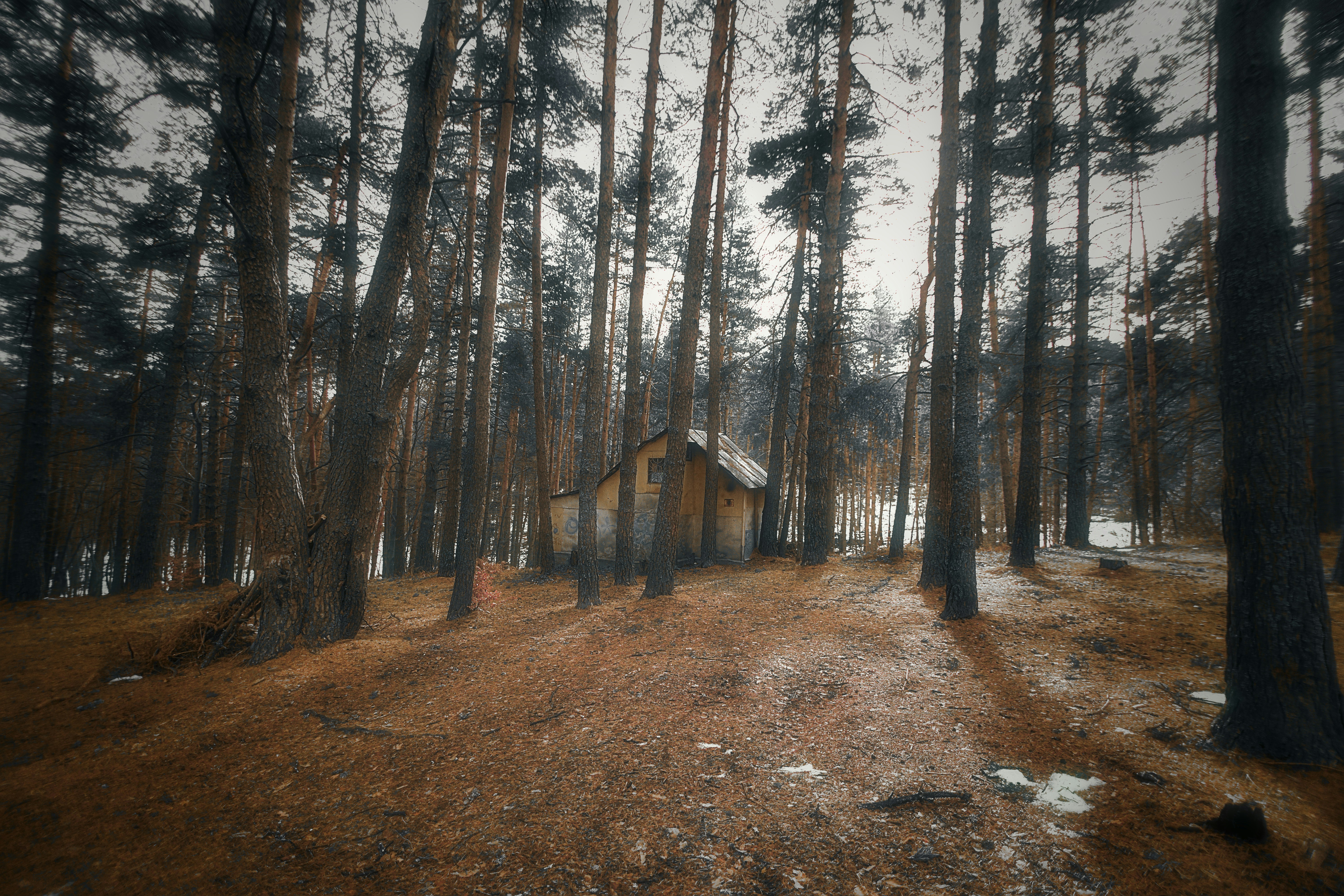 Photo by blooddrainer