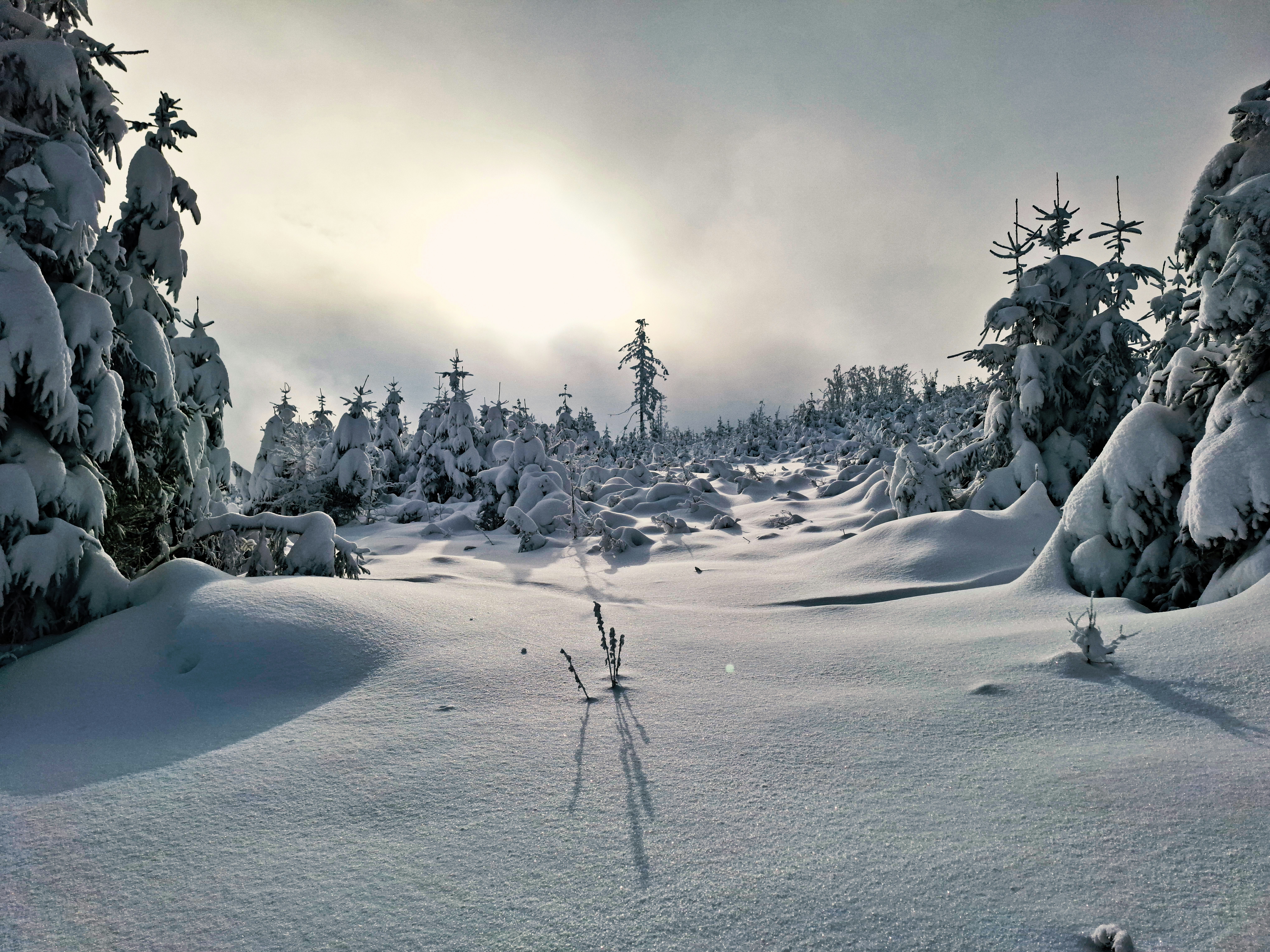 icy mountain landscape, wallpaper, Glacier Trekking: A Guide to Safe Navigation 4