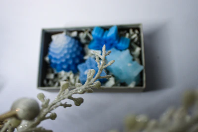 Gift box open to reveal an assortment of aromatic soap bars from Tupelo Cove.