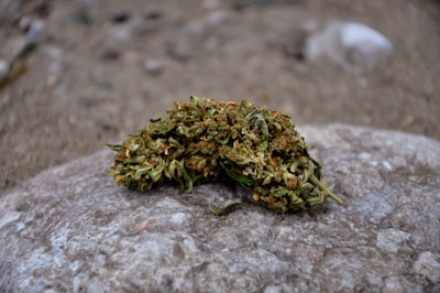 A clump of dried cannabis buds rests on a textured stone surface. The background consists of a blurred sandy terrain, highlighting the intricate details of the cannabis in focus.