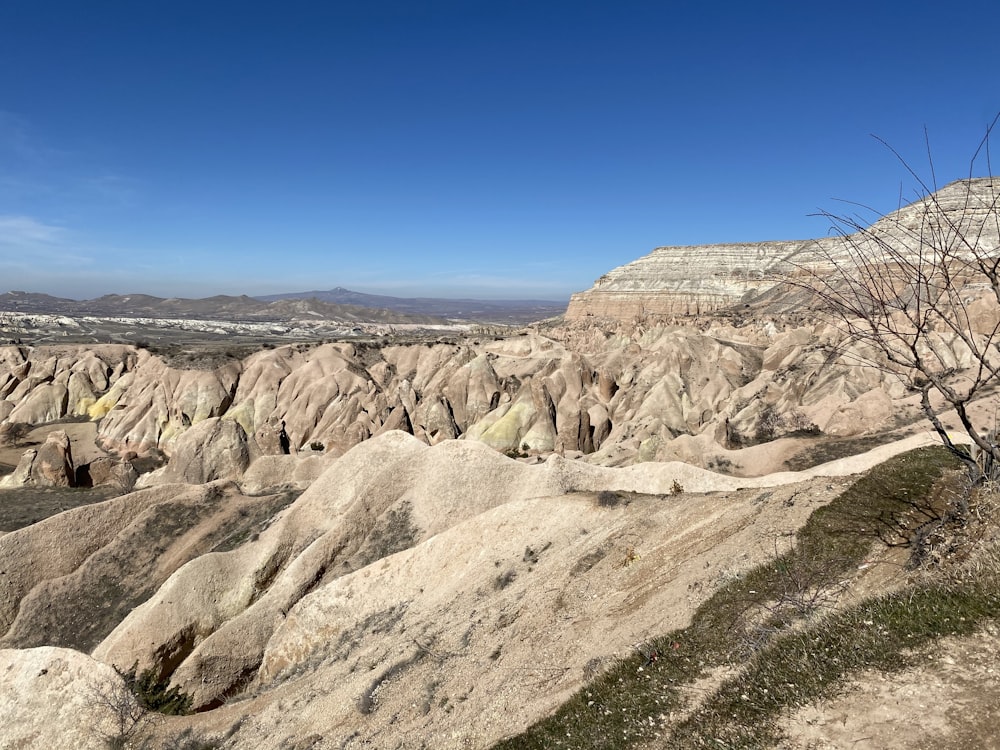 a view of a rocky landscape with a tree in the foreground