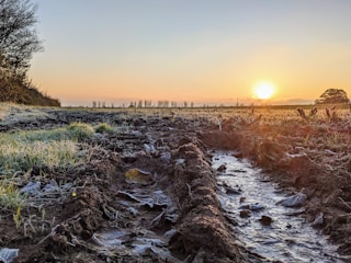 A serene morning landscape with a sunrise on the horizon. Frost-covered plants stretch across a field, with earthy furrows leading toward the sun. Bare trees line the left side, and a clear, open sky above reflects warm hues.