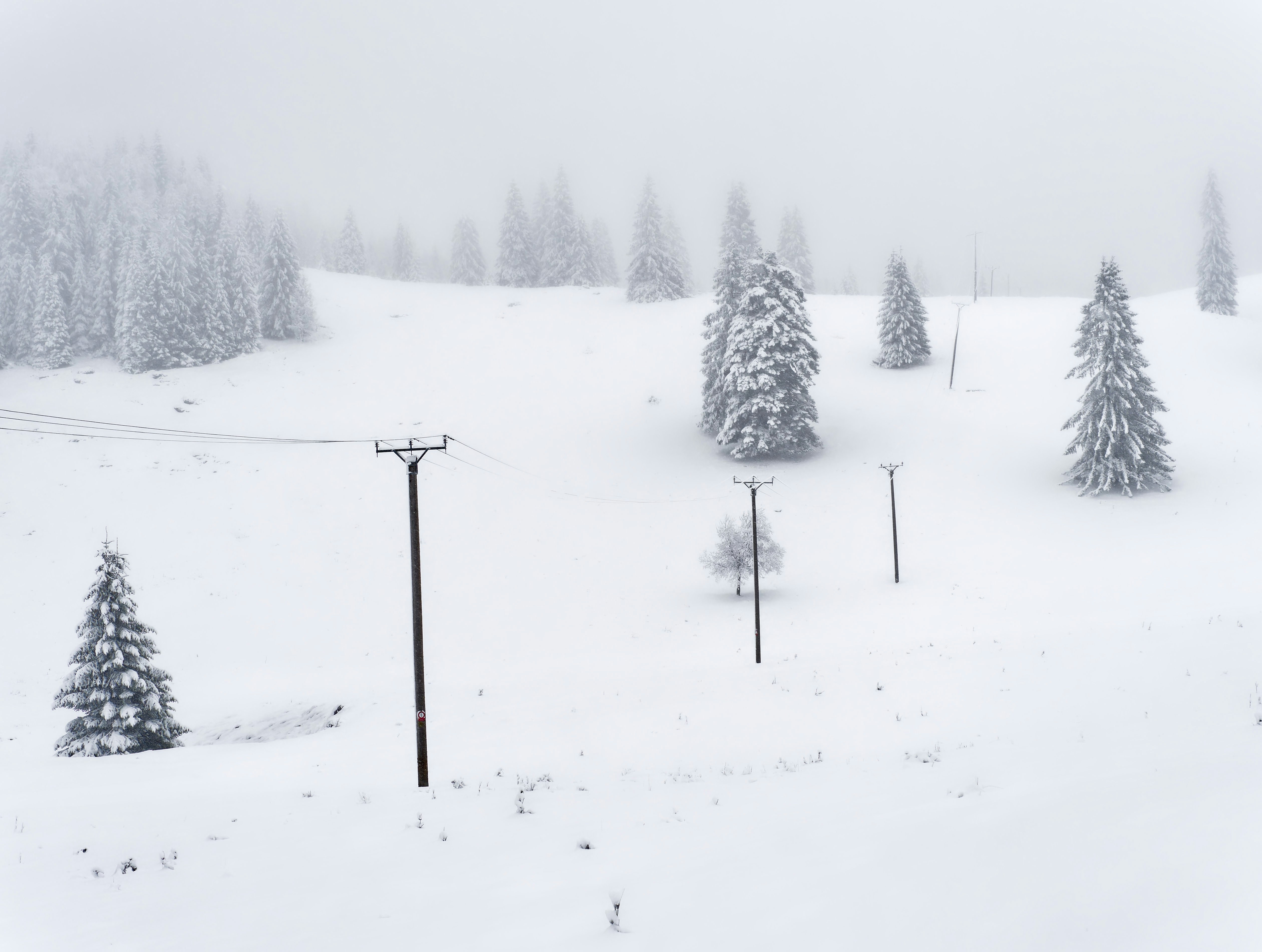 Photo by illes_cristi