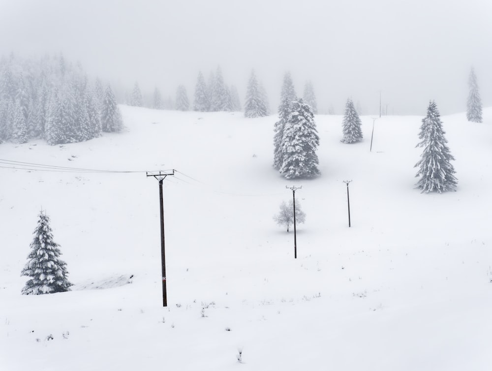una pista de esquí cubierta de nieve con árboles en el fondo