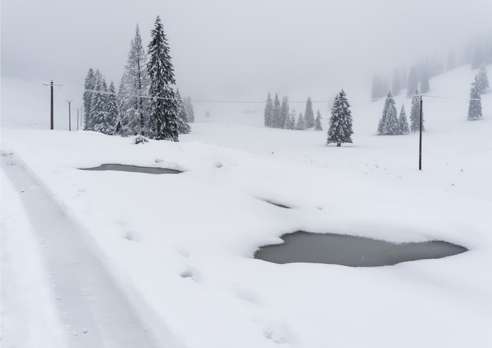 un campo cubierto de nieve con árboles y un pequeño estanque