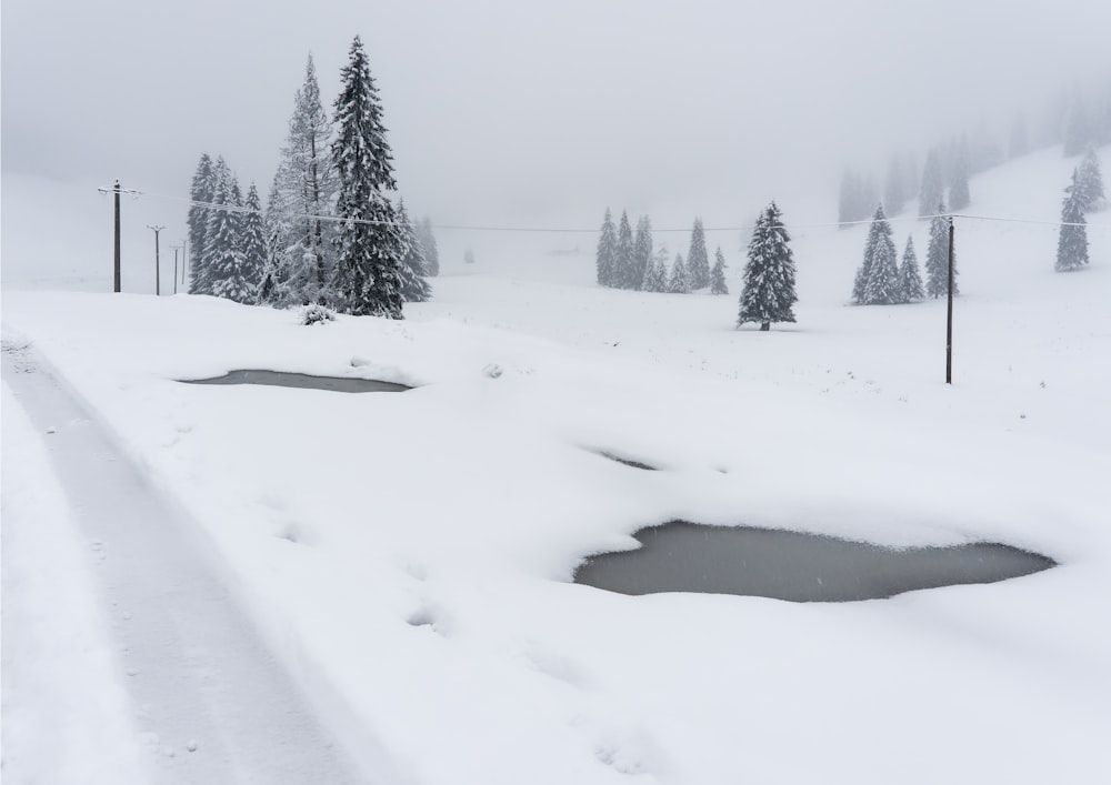 a snow covered field with trees and a small pond