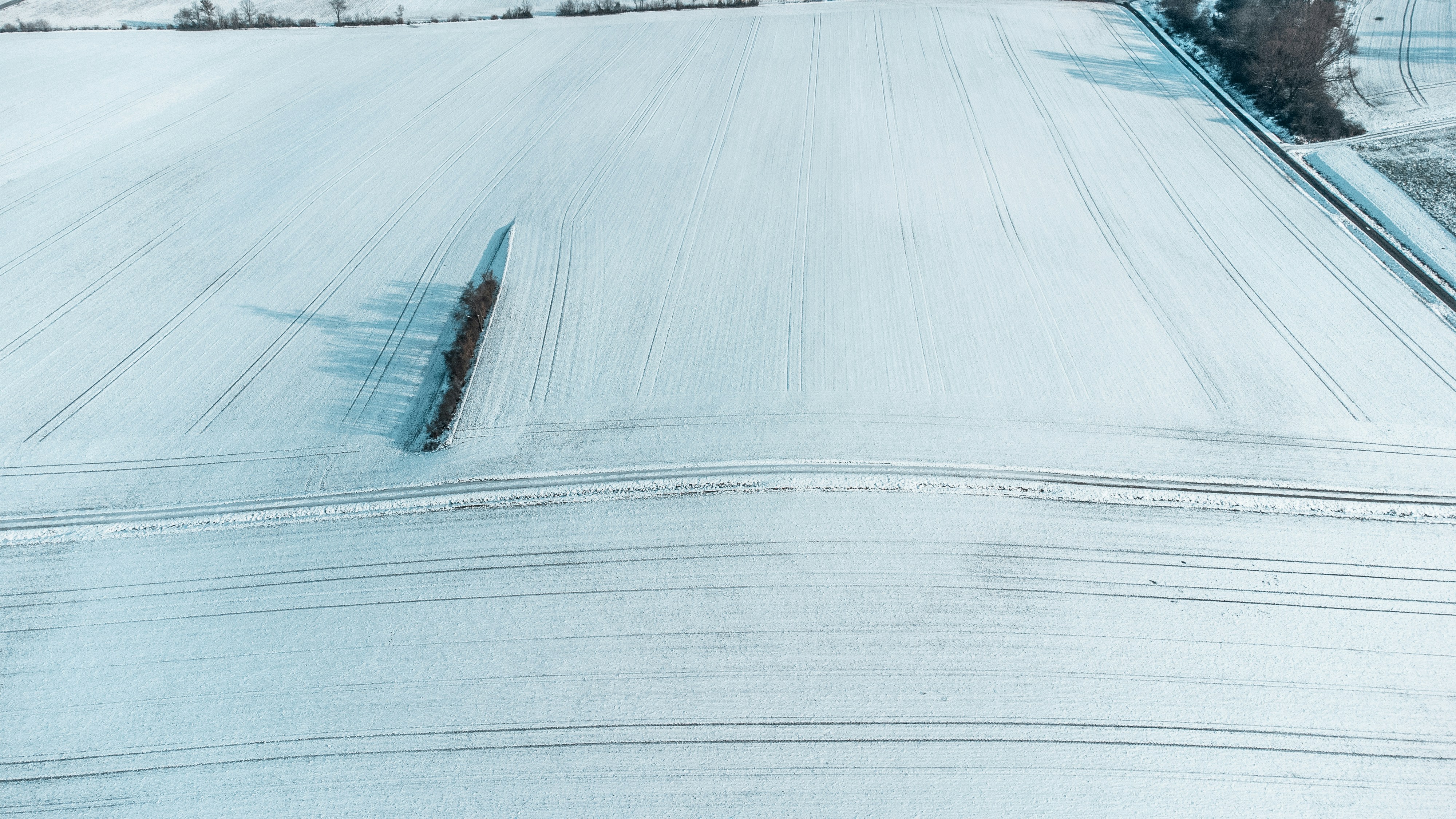 Photo by goosebumpsteam