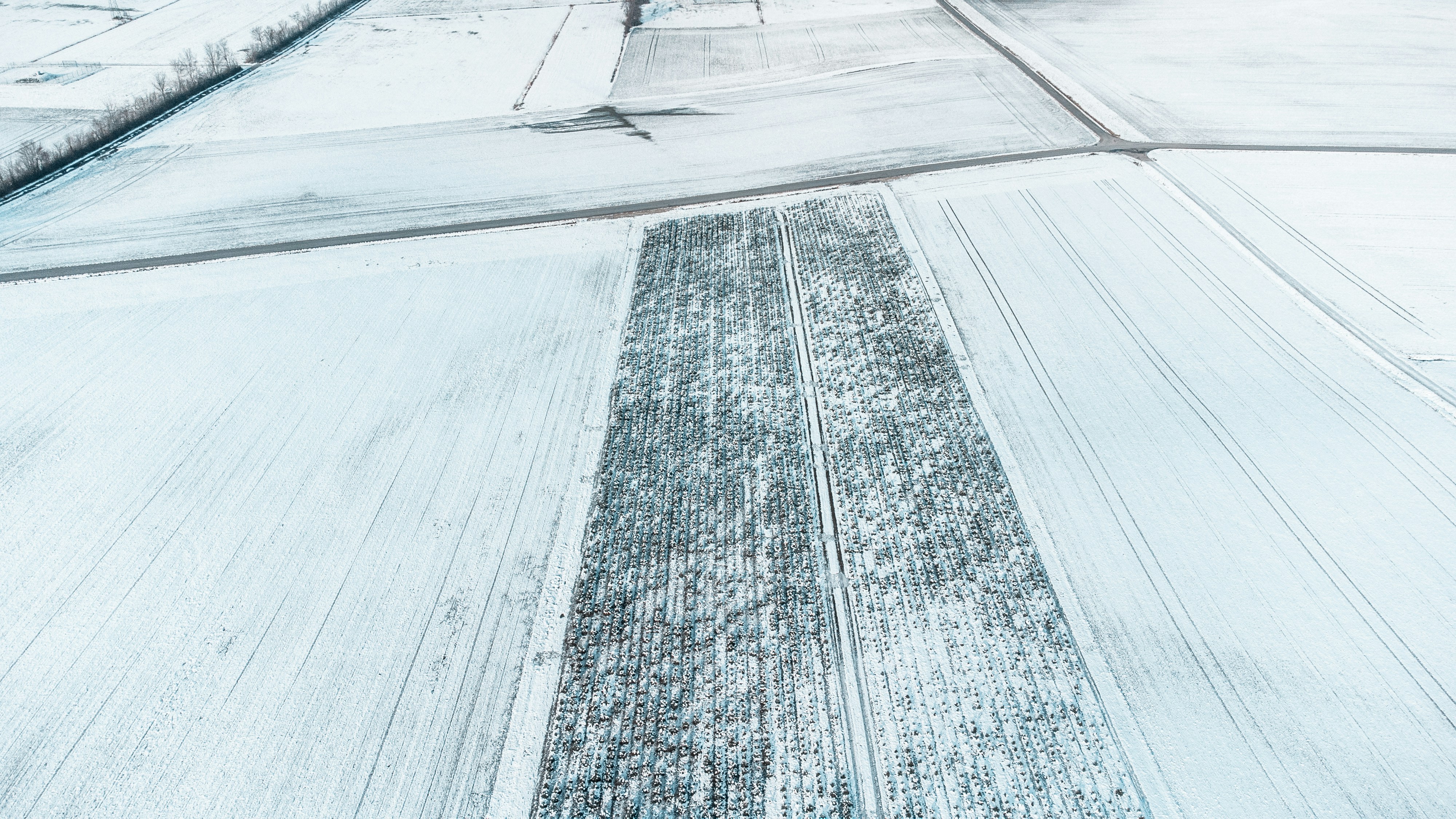 Photo by goosebumpsteam