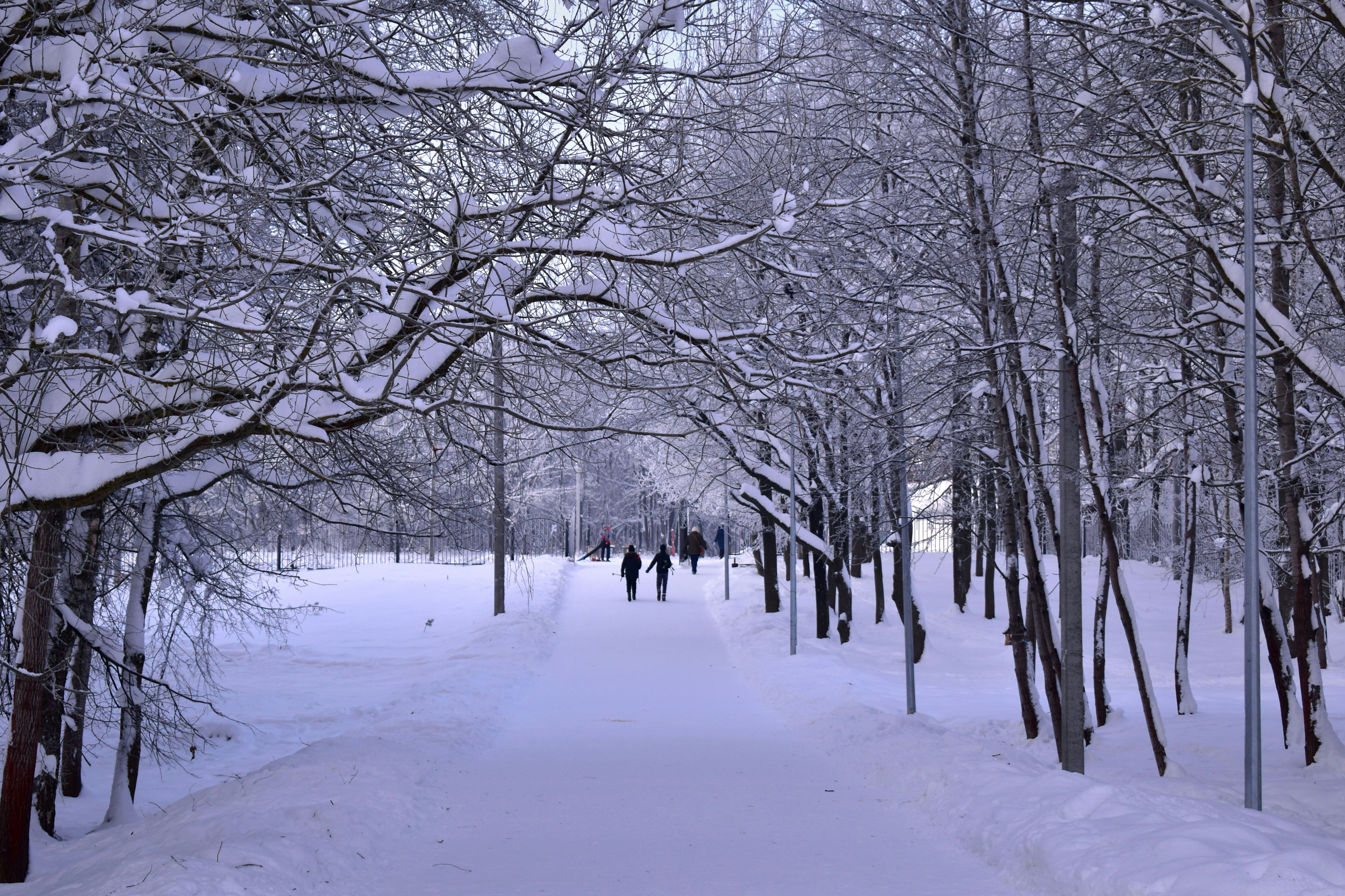 Photo by polina_grishma