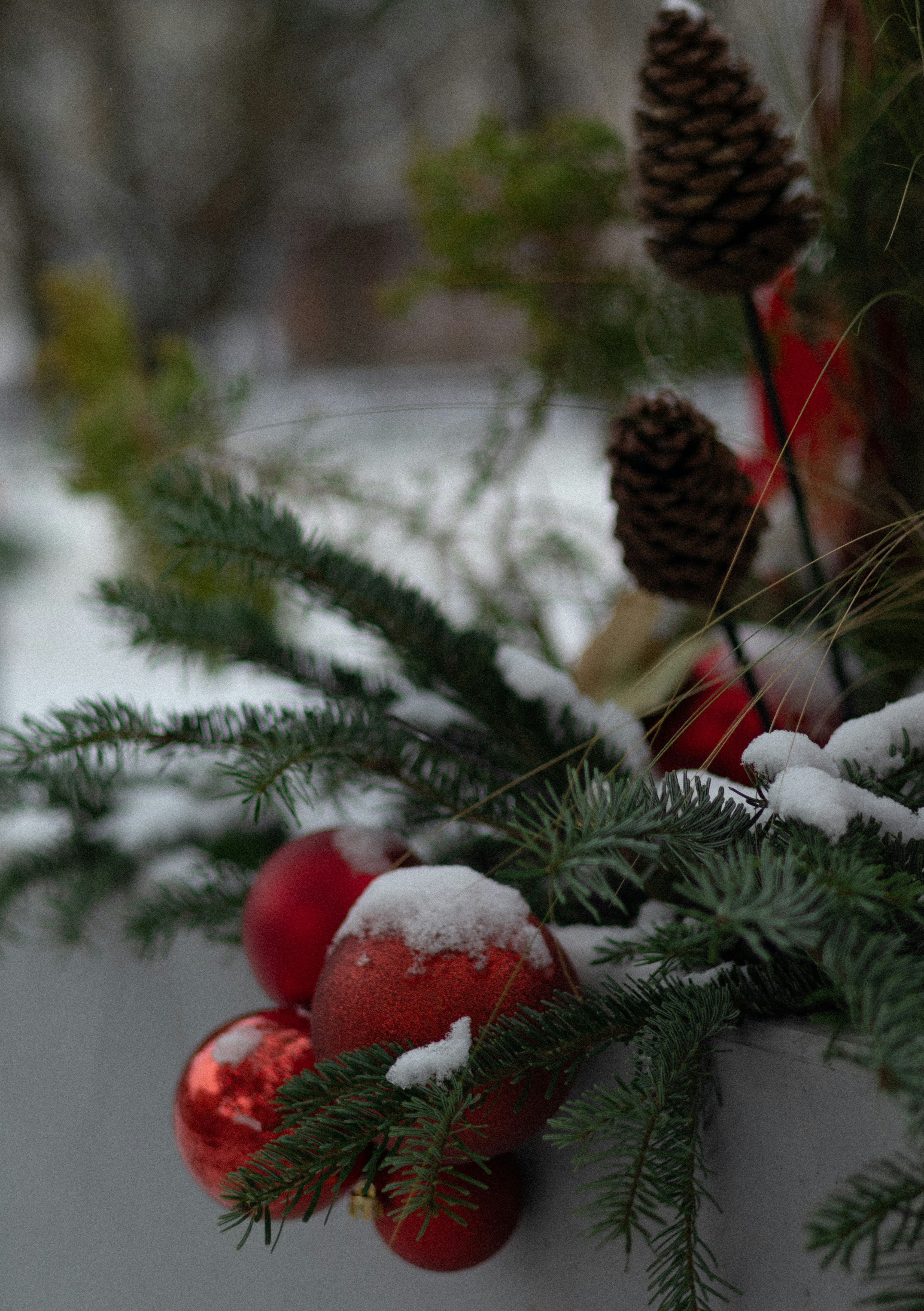 Photo by anyutakejbalo