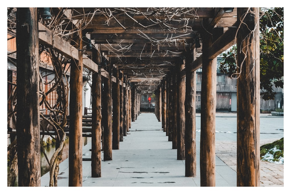 a row of wooden pillars sitting next to each other