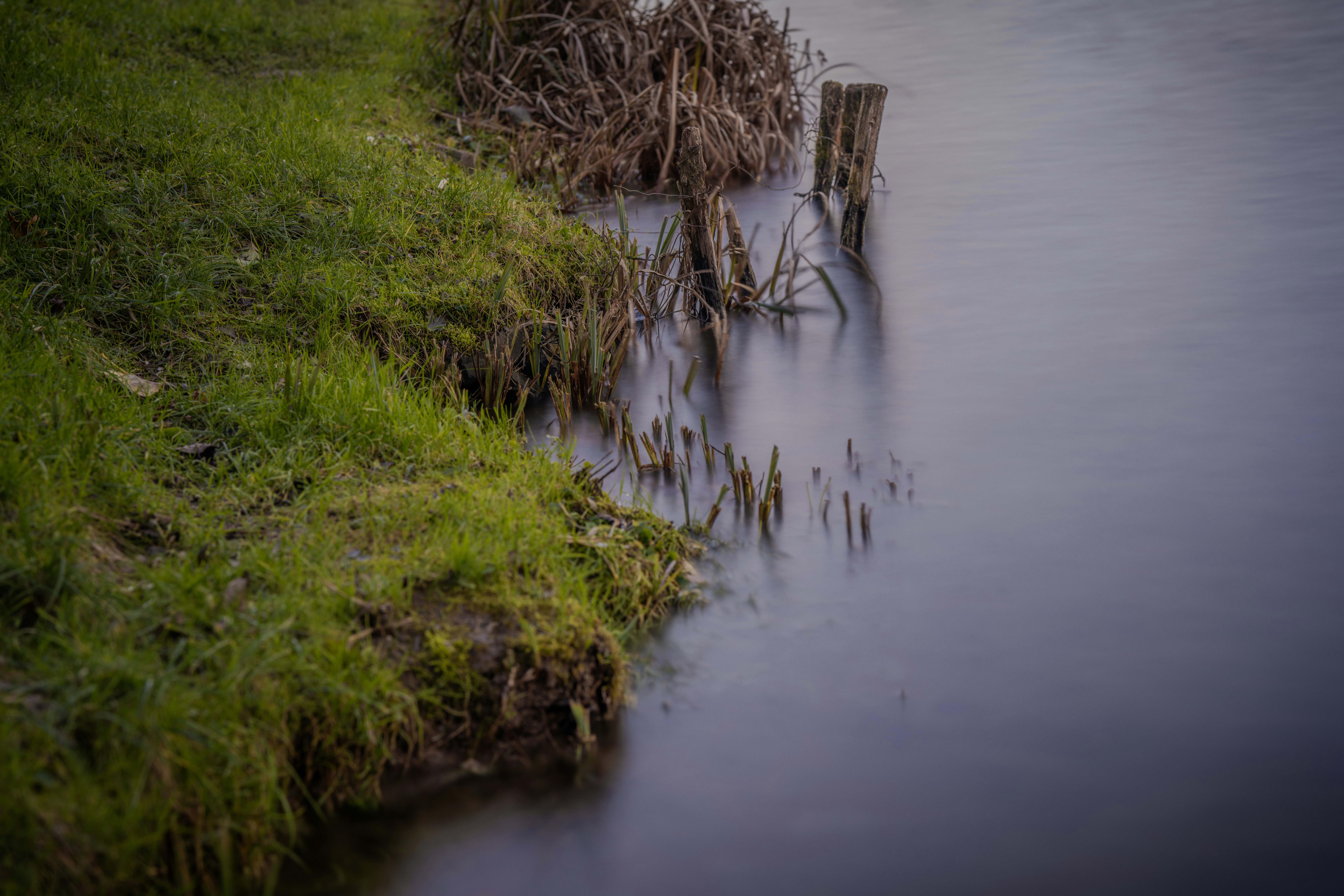 Photo by cmilan1