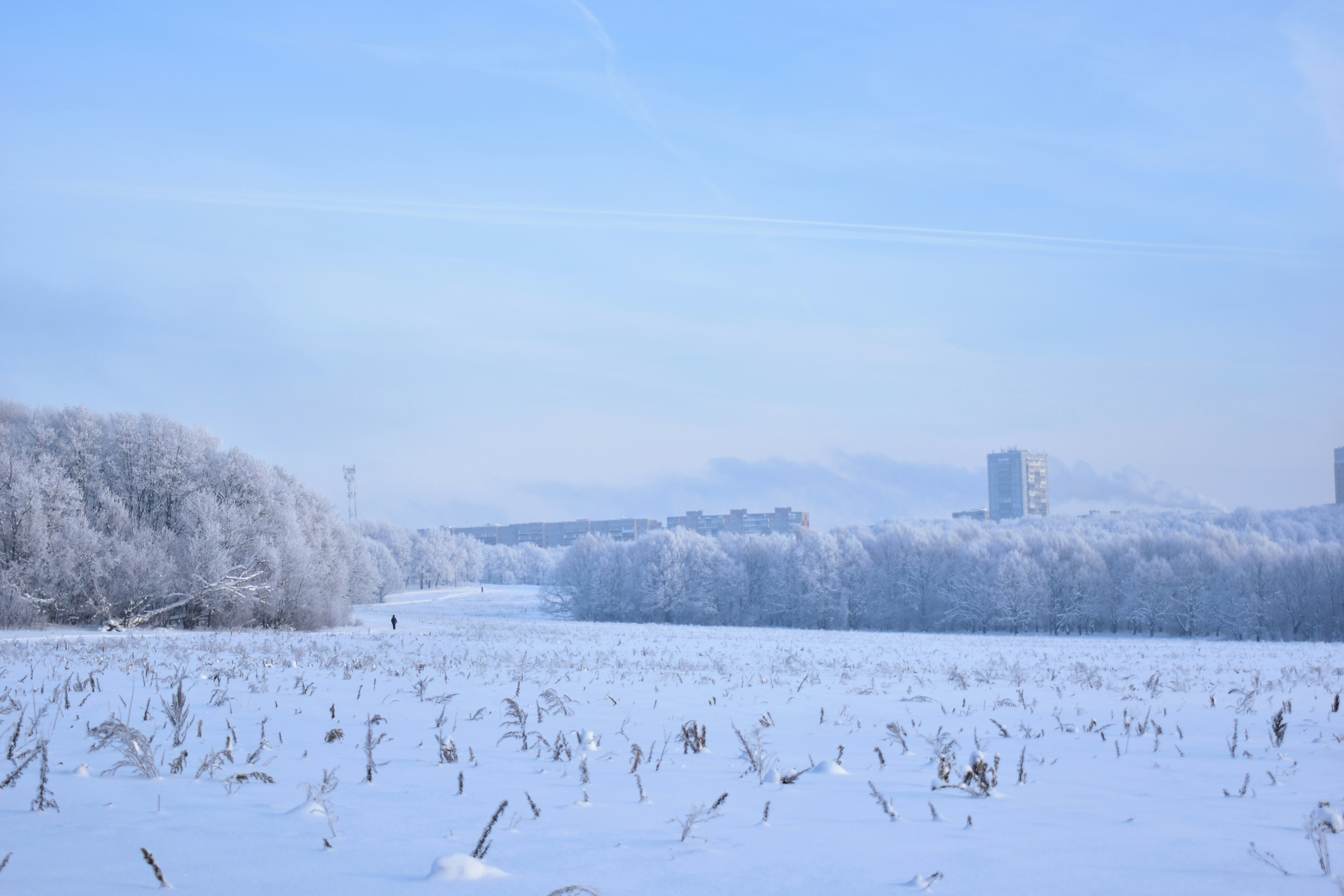 Photo by polina_grishma