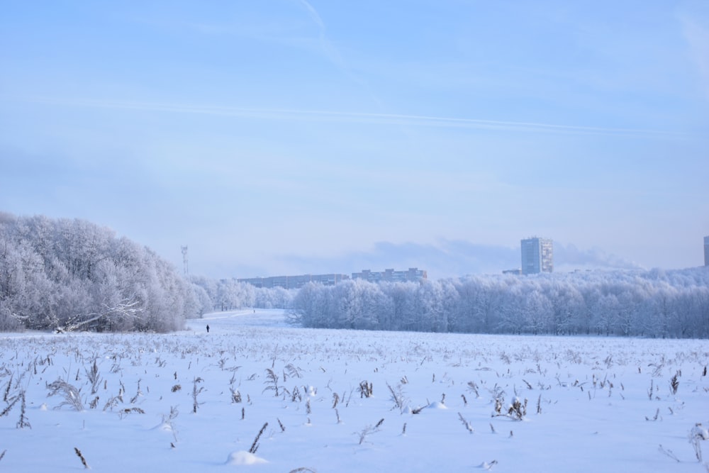 un campo innevato con alberi ed edifici sullo sfondo