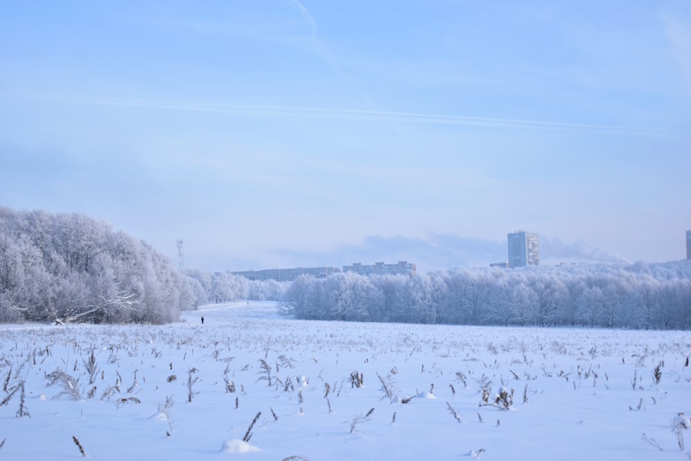 a snowy field with trees and buildings in the background