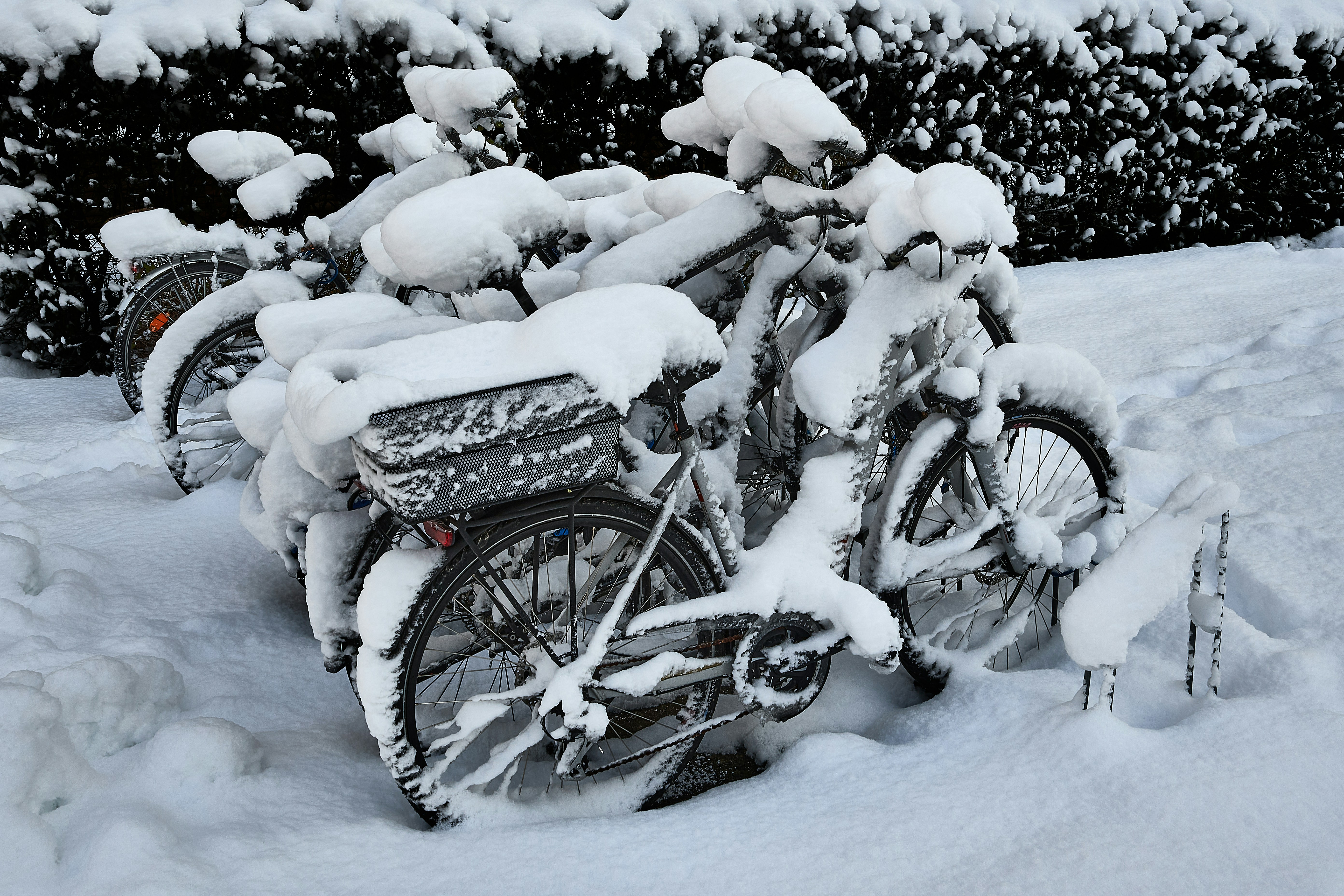 a bicycle covered in snow next to a bush