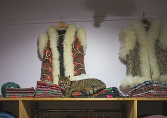 Two faux fur vests with intricate patterns hang on the wall above a shelf of folded blankets in various colors. A tabby cat is comfortably nestled among the blankets. The lighting casts a soft shadow, creating a cozy and inviting atmosphere.