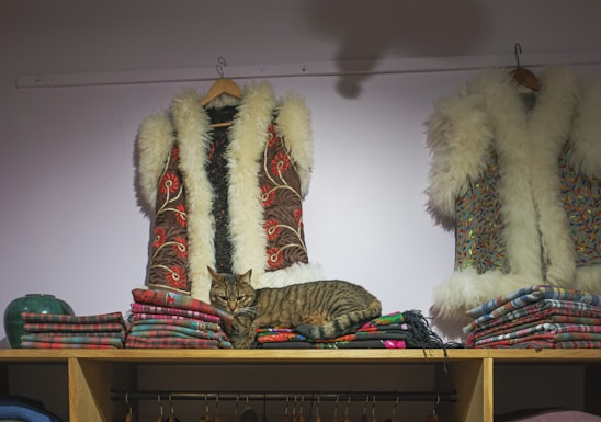 Two faux fur vests with intricate patterns hang on the wall above a shelf of folded blankets in various colors. A tabby cat is comfortably nestled among the blankets. The lighting casts a soft shadow, creating a cozy and inviting atmosphere.