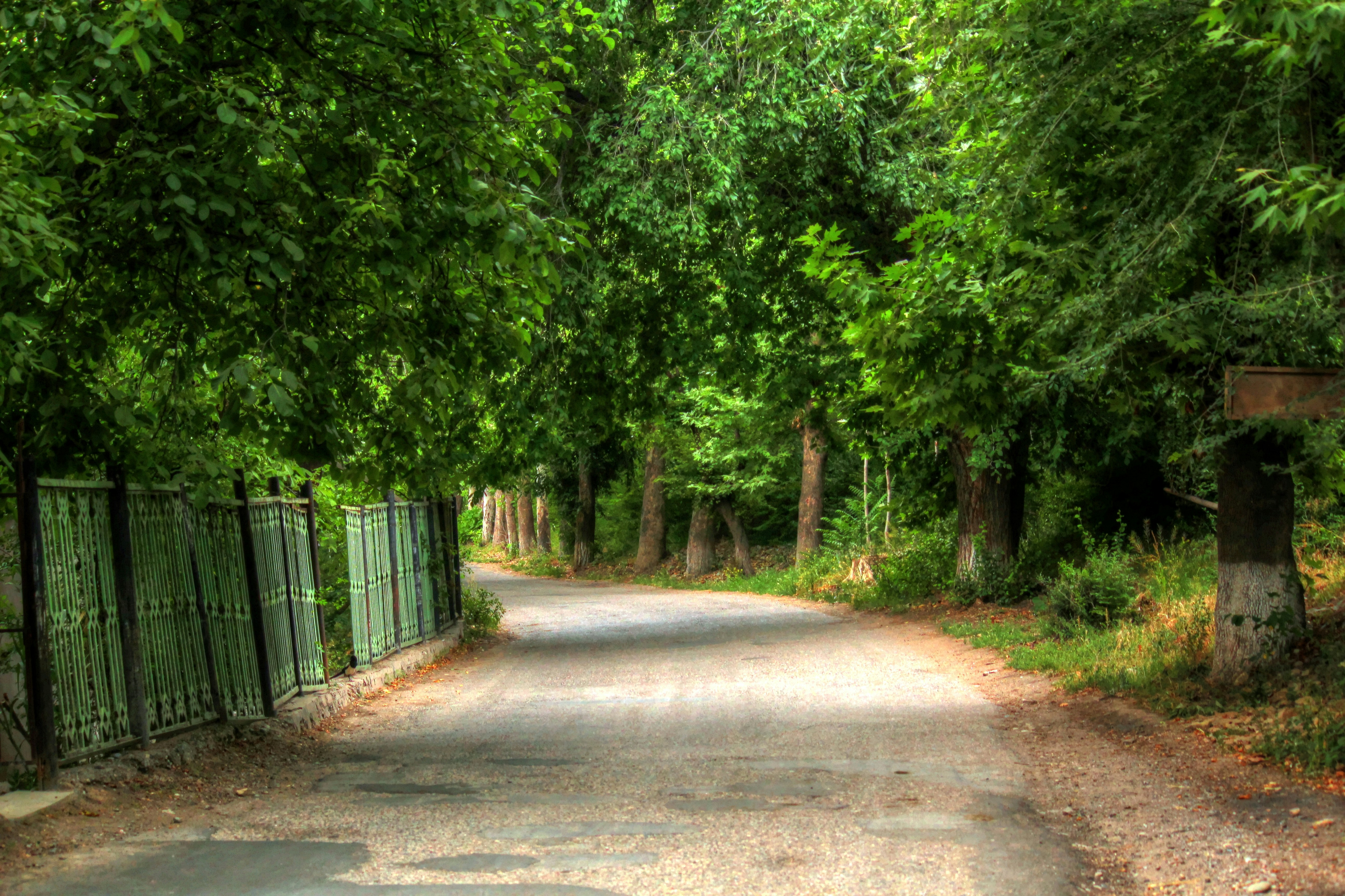 NMA destination photo