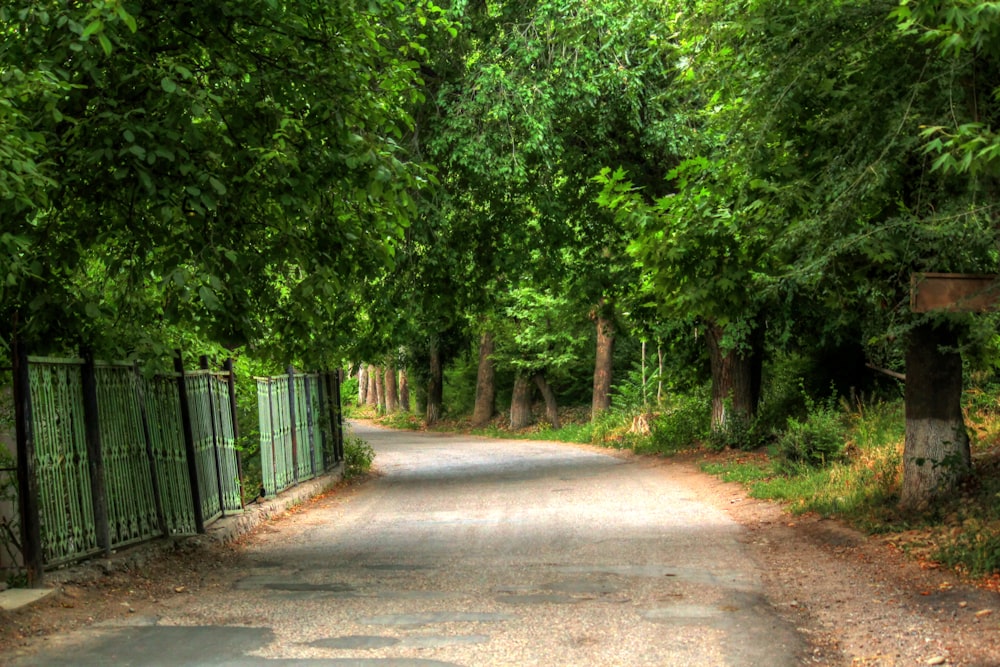 a road surrounded by trees and a gate