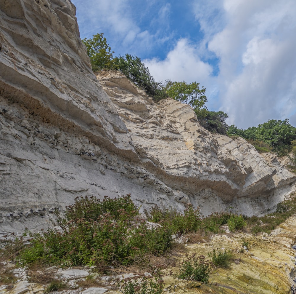 a rocky cliff with trees on top of it