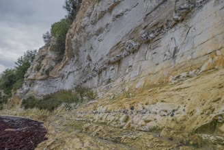 a large cliff with a bunch of birds on it