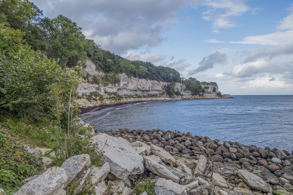 a rocky shore with a body of water in the background