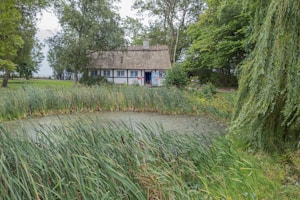 A charming rural scene featuring a traditional thatched cottage nestled among trees and greenery. A small pond bordered by reeds is visible in the foreground, adding a serene and picturesque element to the landscape. The overall setting exudes a peaceful and idyllic countryside ambiance.
