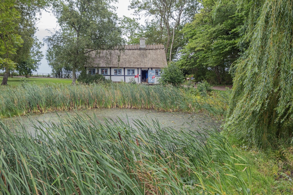 a house with a thatched roof next to a pond