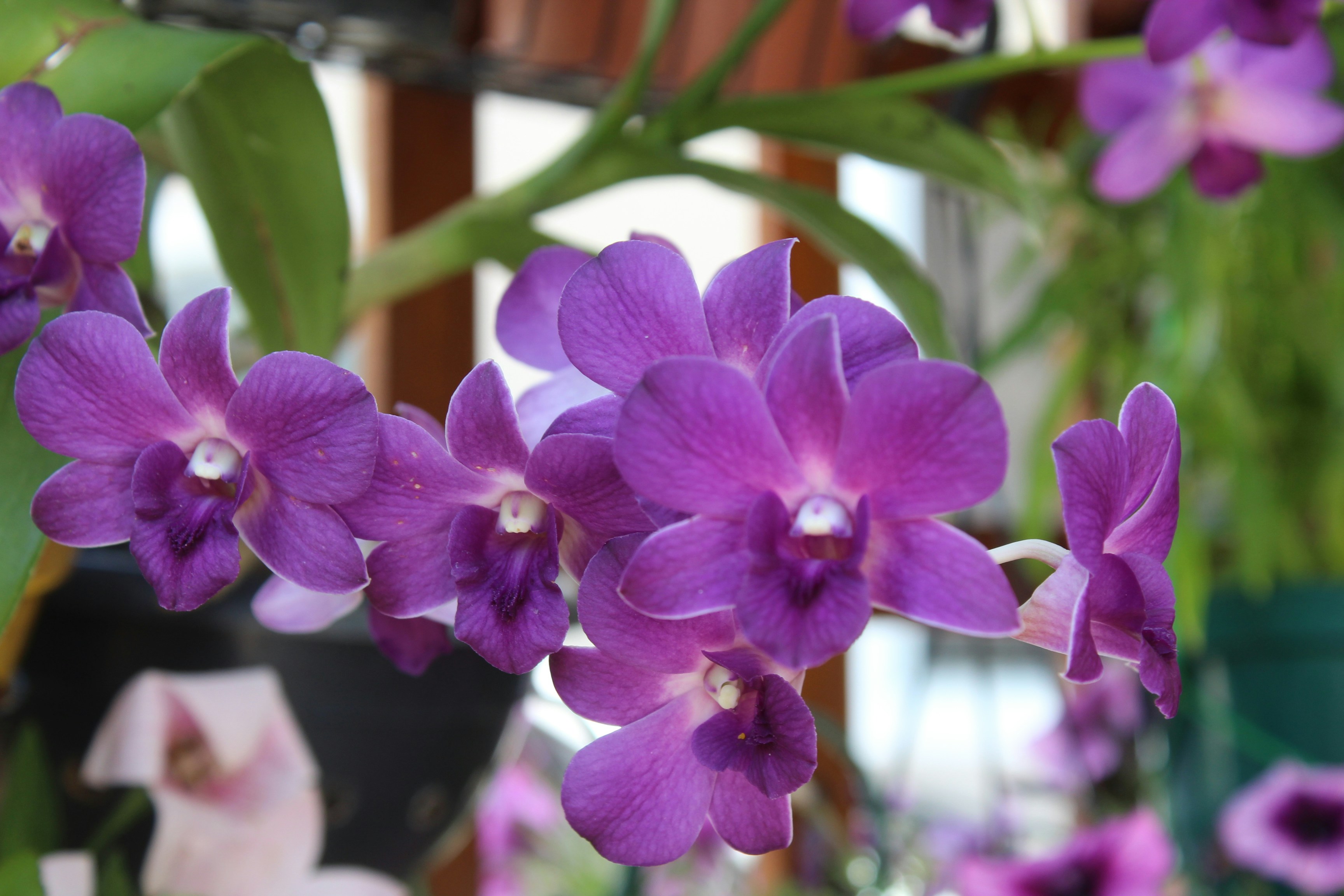 Photo by carmelita_rodrigues