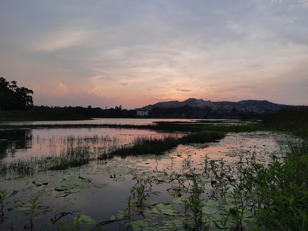 a body of water surrounded by a lush green field