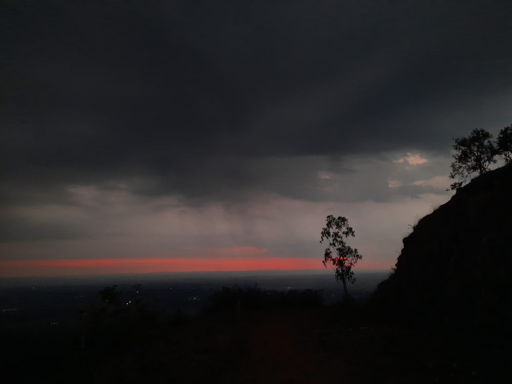 a lone tree is silhouetted against a dark sky