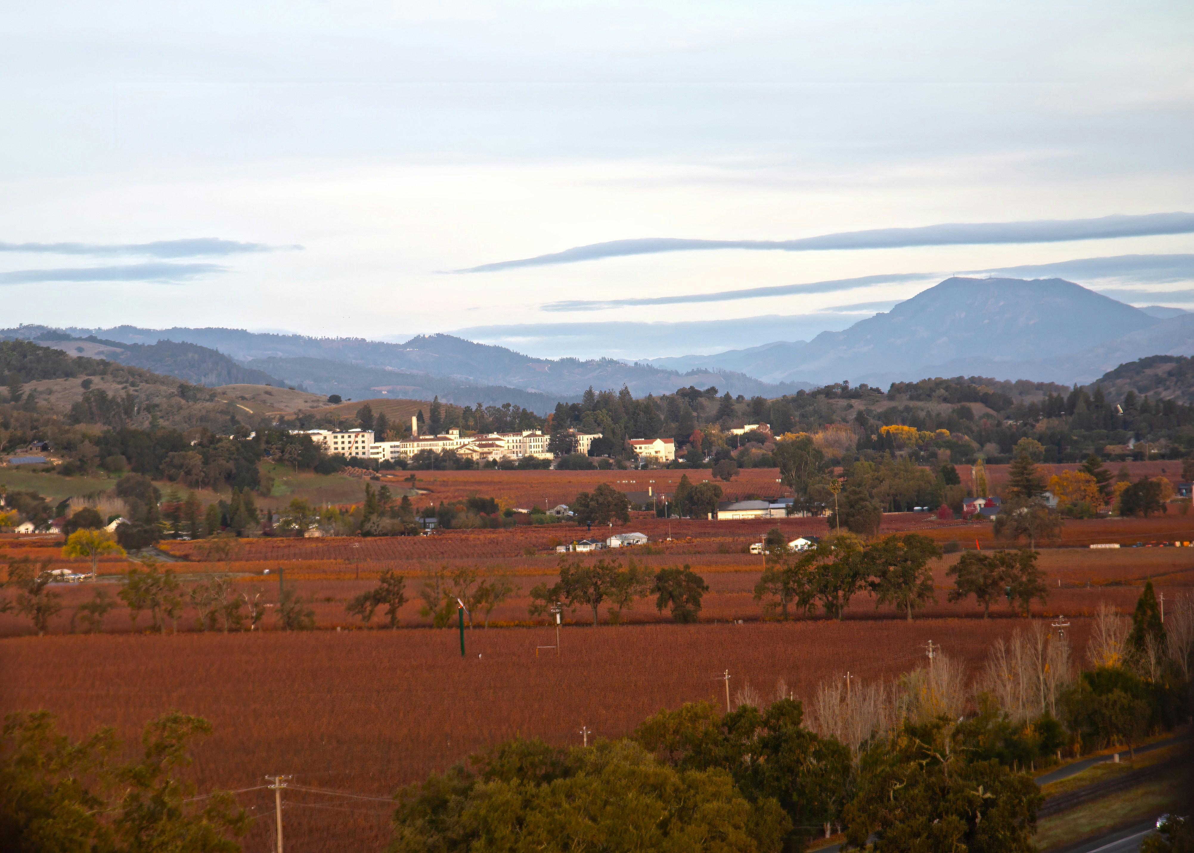 Photo by carlos_wolters