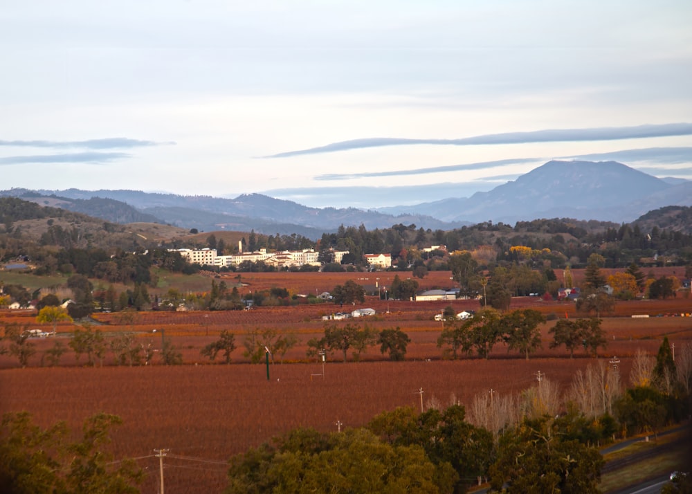 a view of a city with mountains in the background