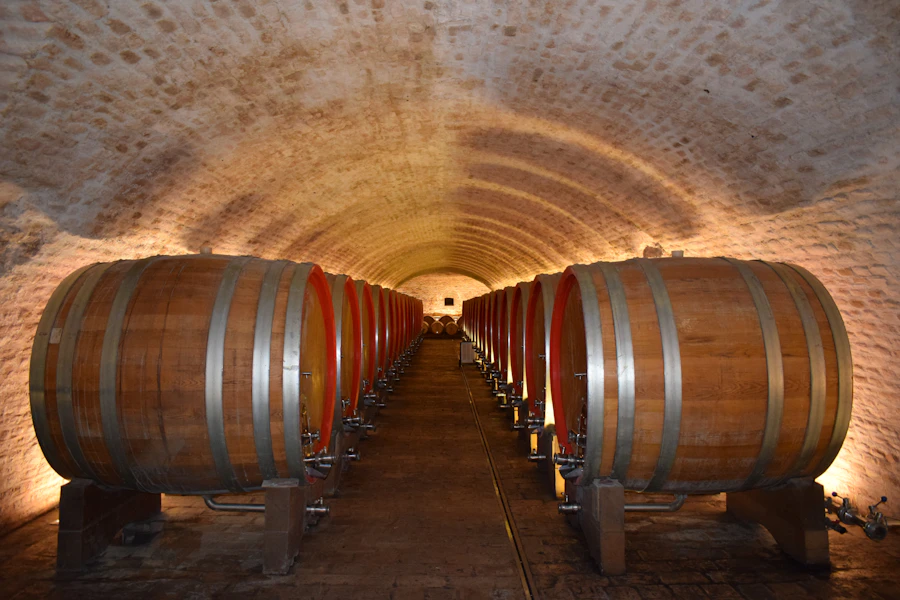 Galerie de cave voûtée abritant des fûts de vieillissement