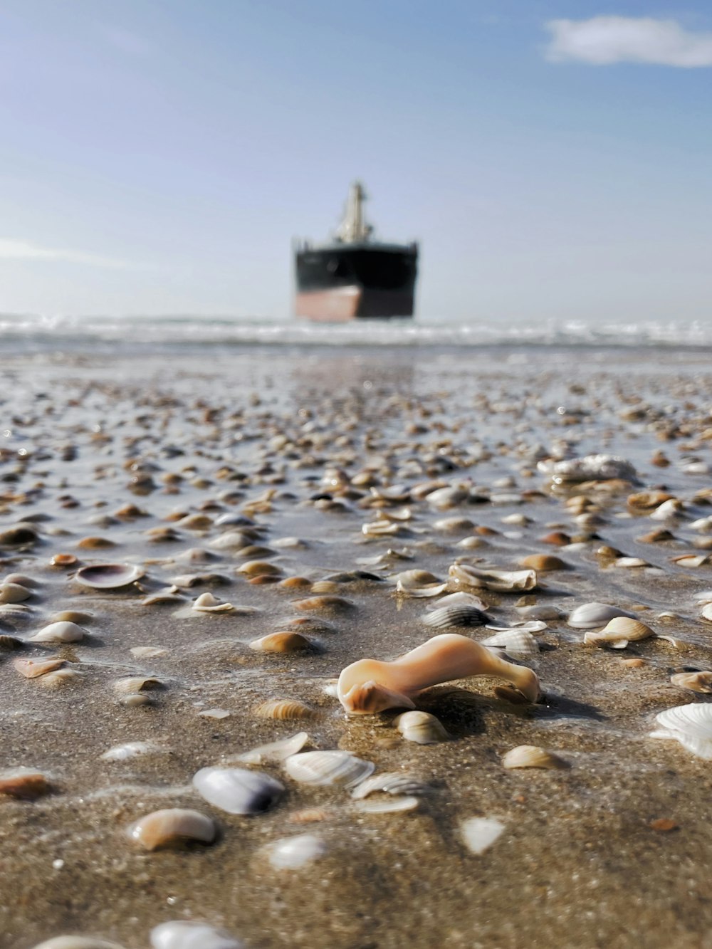 a beach with shells and a ship in the background