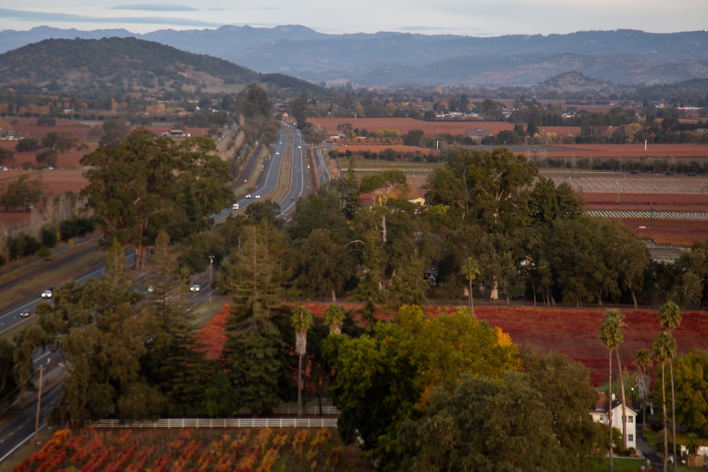 a view of a highway with a mountain in the background