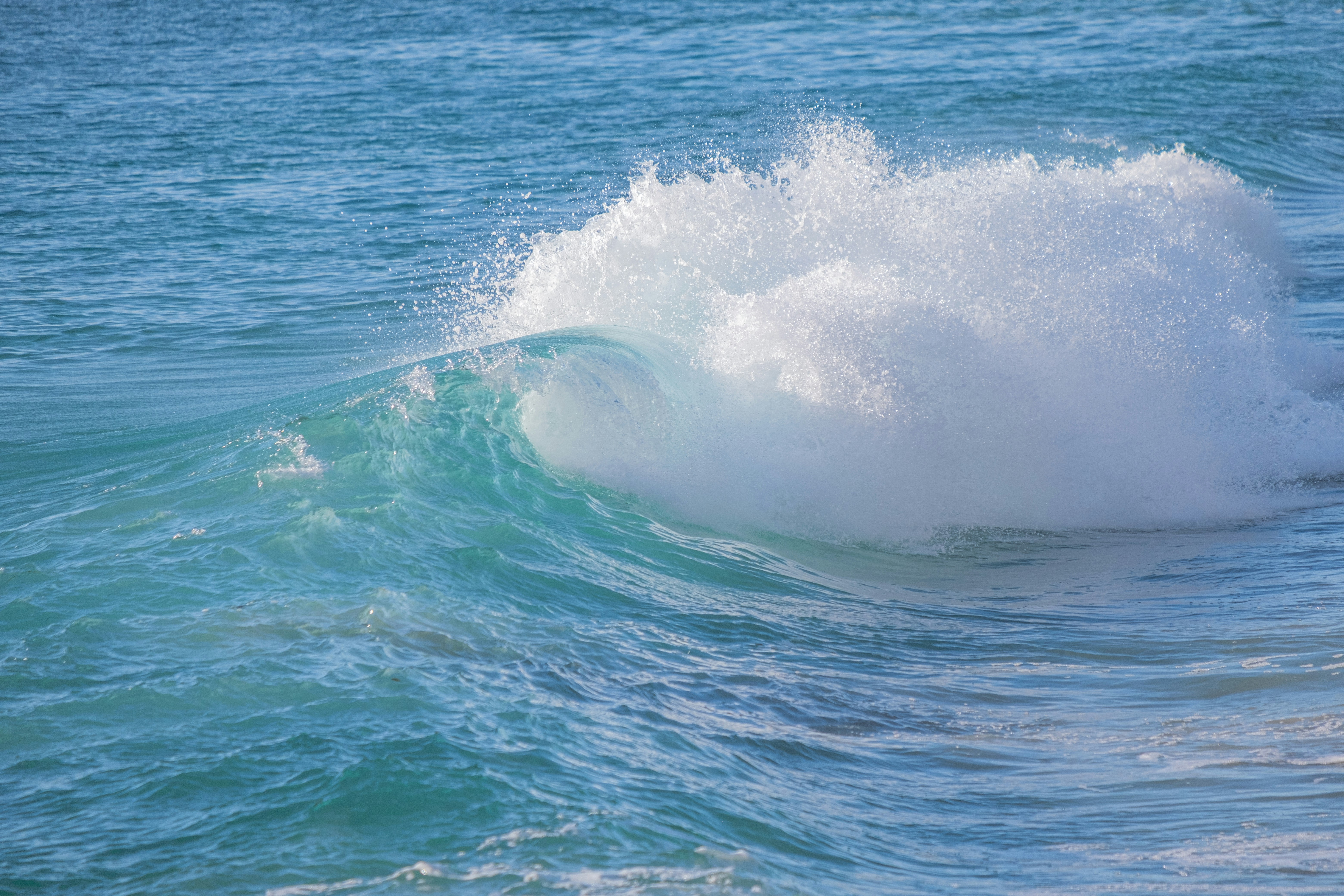 Photo by cestmoisheedy