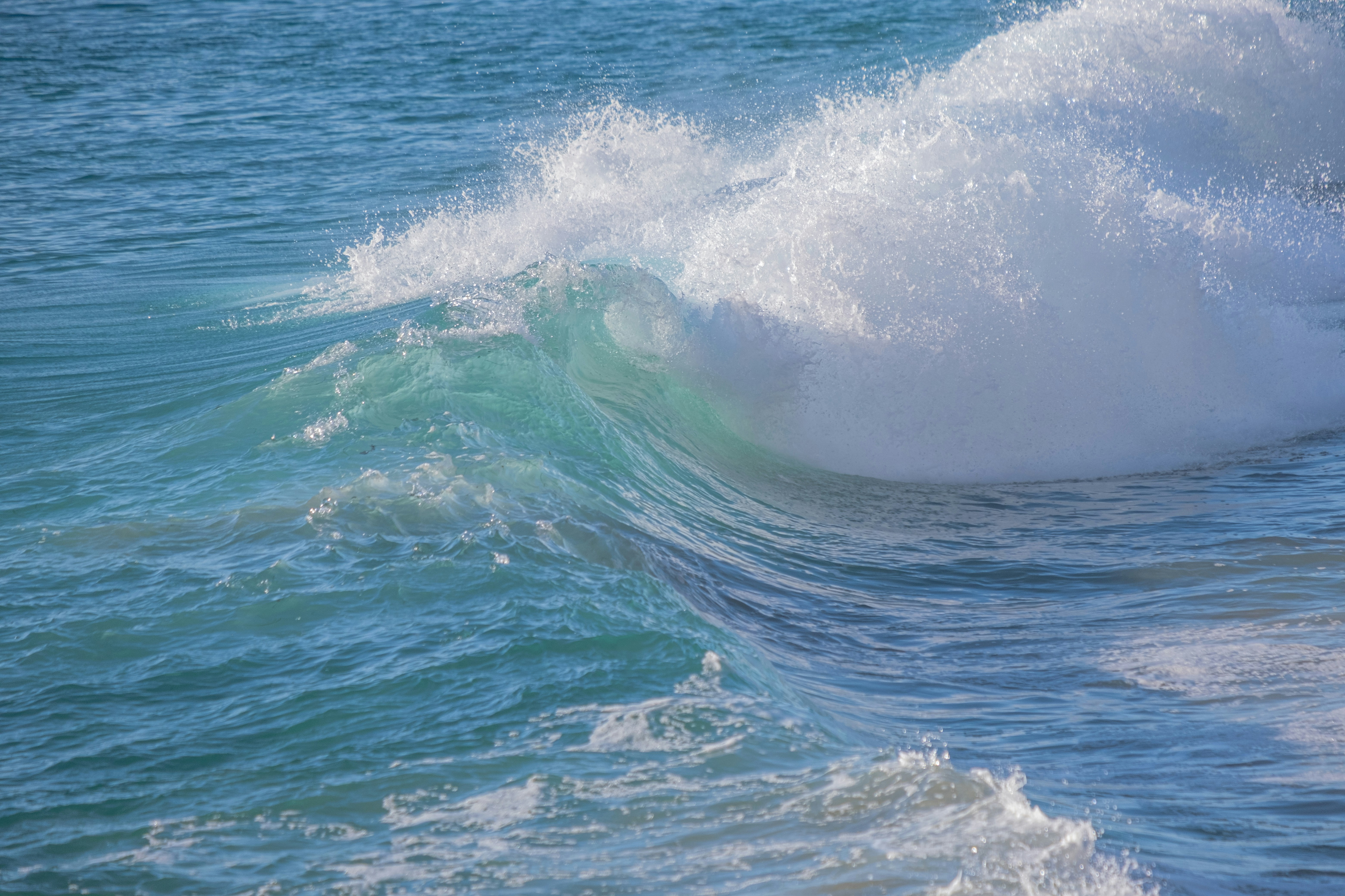 Photo by cestmoisheedy