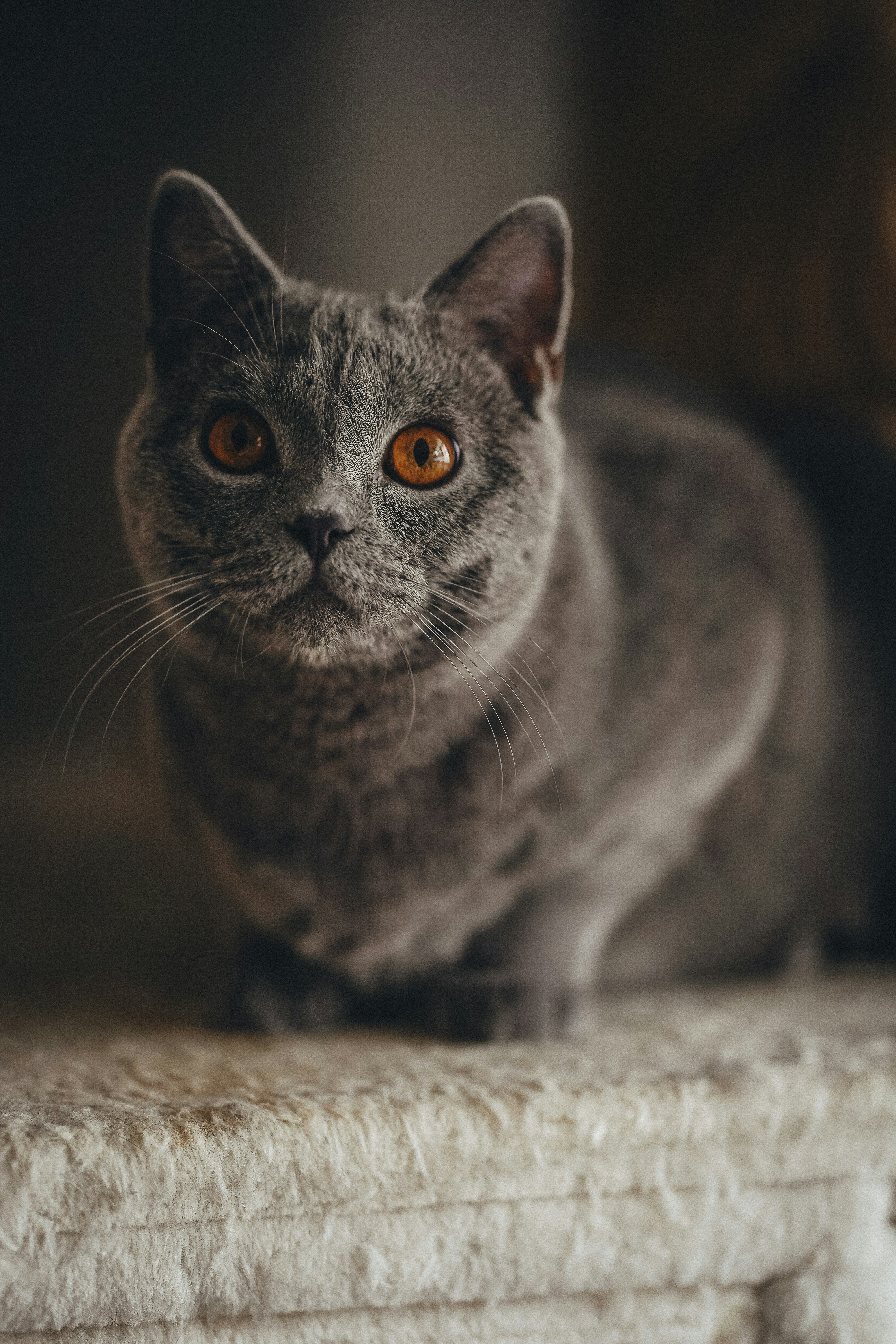 Photo by omarvellous14