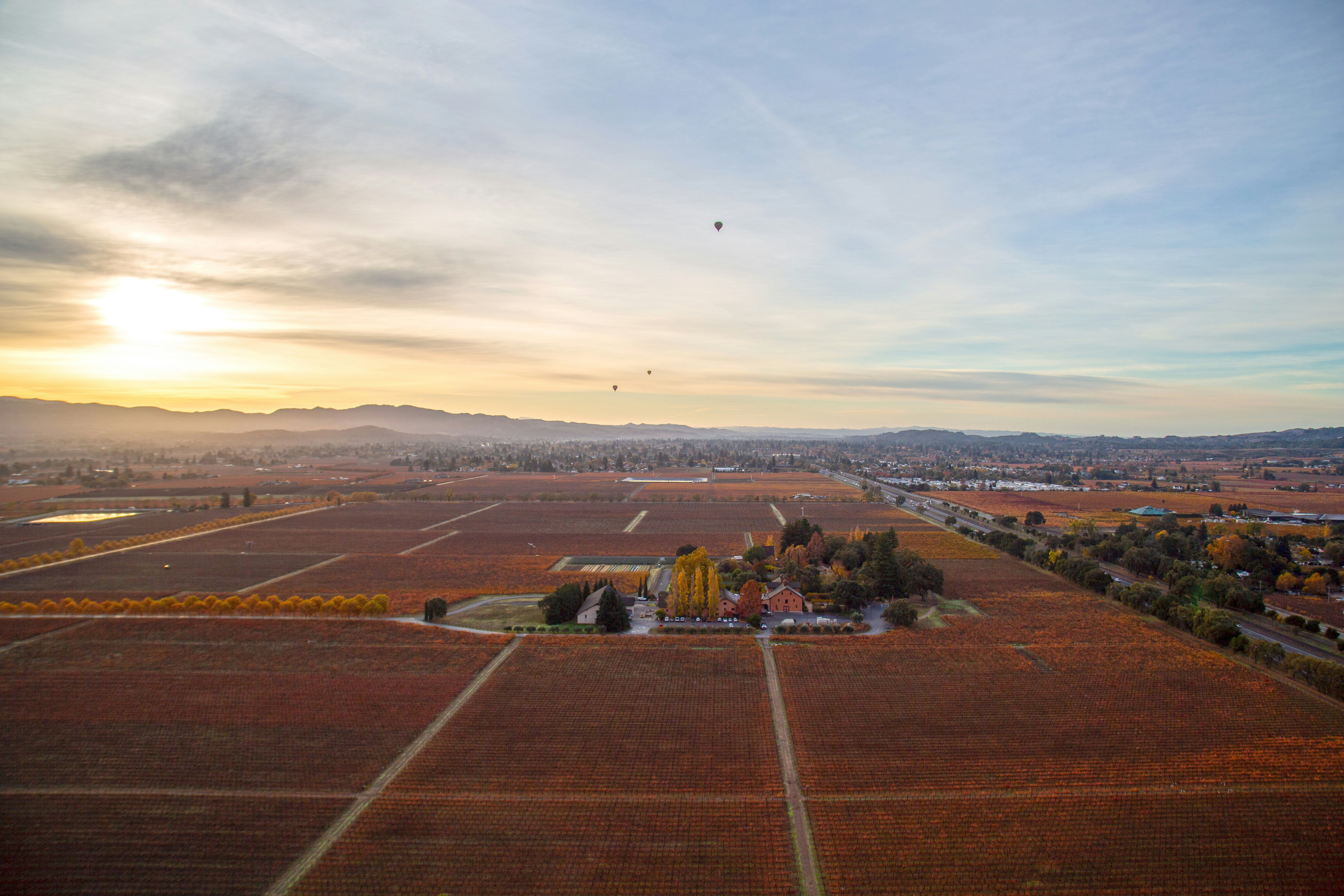 Vines and Vision: How California Wine Country Became Hollywood's Most Unlikely Creative Muse