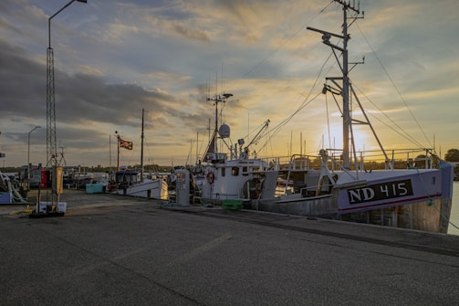Aerial view of Ensenada's harbor with fishing boats and city skyline at sunset