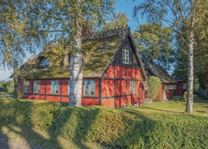 A charming, rustic cottage with a thatched roof, red walls, and black wooden beams, surrounded by lush greenery. Birch trees and hedges line the property, and sunlight casts soft shadows across the scene. A few red chairs and a small table sit near the structure, enhancing its quaint and inviting appearance.